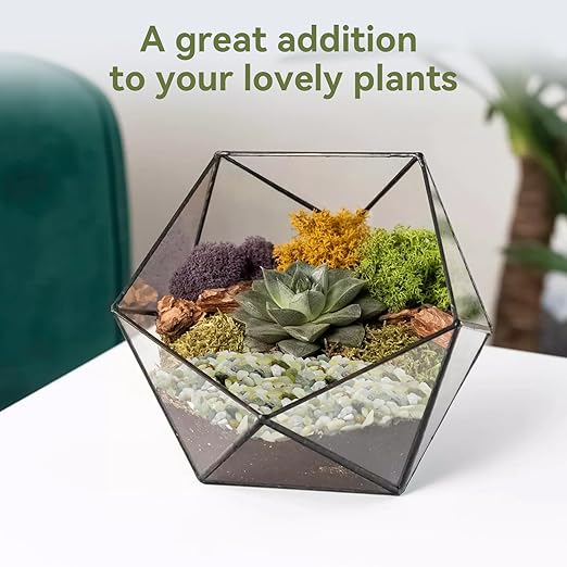 2.5LB Succulent and Cactus Pebbles, 1/5 Inch Jade Pebbles for Indoor Plants, Decorative Gravel for Vases, Bamboo, Succulent, Terrarium, Crafts, Cactus-PurrikoPets