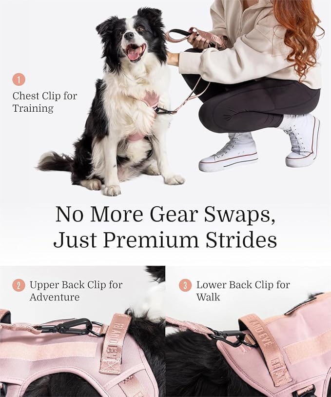 2025 New Edition, Fei & Eve MagEase Dog Harness - 3-Second Magnetic Buckles | 3-Point No-Pull Control | Heavy-Duty 900D Nylon | Dual Safety Handles | Breathable Mesh | Adjustable Fit | X-Large, Pink-PurrikoPets
