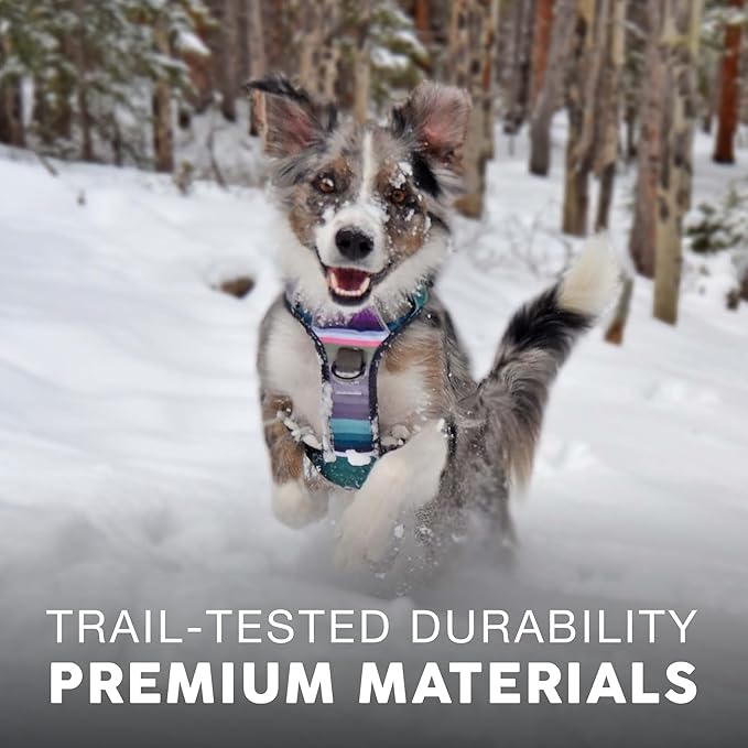 Embark Adventure Dog Harness, No-Pull Reflective Trim Dog Harness for Small, Medium & Large Dogs - Heavy Duty Oxford, 2 Leash Clips & Gel Lined Handle. Soft & Padded Puppy Dog Vest for Any Breed-PurrikoPets