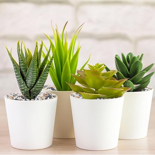 5 lbs Small Rocks for Plants, 1/5 Inch Pebbles for Indoor Plants, Natural Decorative Pea Gravel for Aquarium, Fish Tank, Terrarium, Succulents, Bamboo Plants, Vases, Cactus, Crafts-PurrikoPets