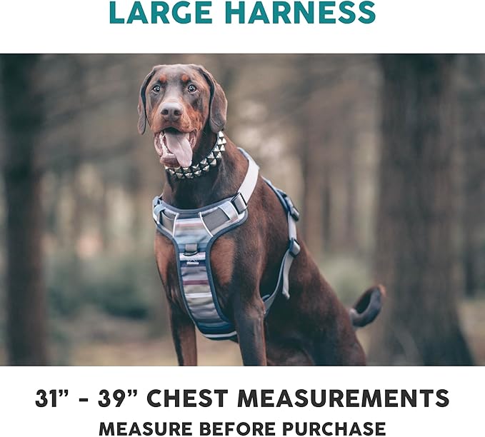 Embark Adventure Dog Harness, Reflective Trim No Pull Harness for Large Dogs - Military Grade Nylon, Front Clip with Gel Lined Handle. Soft & Padded Puppy Harnesses for Any Breed-PurrikoPets