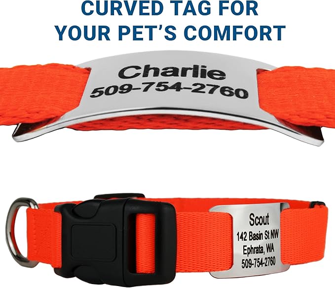 GoTags Personalized Dog Collar with Nameplate, Adjustable Dog Collar with Custom Engraved Slide On Pet ID Tag in Stainless Steel, Silent, No Noise Dog Tag for Large Medium and Small (Orange, Large)-PurrikoPets