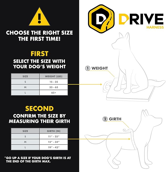 EzyDog Drive Dog Car Harness – Crash Tested and Certified (US-FMVSS 213) Dog Seat Belt Harness for Safe Travel, Adjustable with Padded Comfort (Small)-PurrikoPets