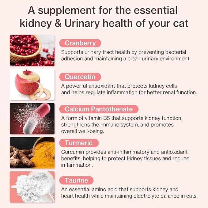 Dr.by UT Care Cat UTI Kidney Support Urinary Supplement Cranberry Treatment for Cats Renal Health with Pacran, Quercetin, Taurine lickable Formula Individually Packaged (1 Pack)-PurrikoPets