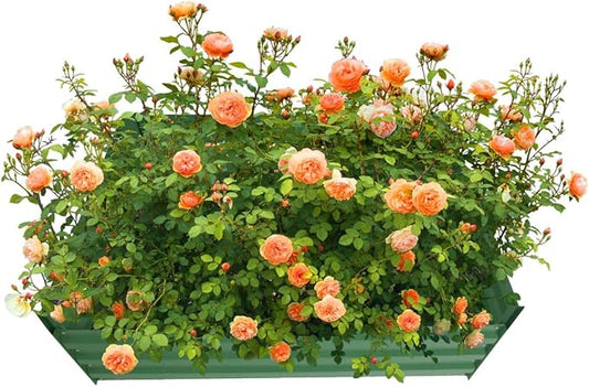 4x4x1ft Metal Raised Garden Bed Kit，Galvanized Garden Bed Box for Vegetables, Flowers, Herbs, and Succulents,120 Gallon Capacity - Green-PurrikoPets