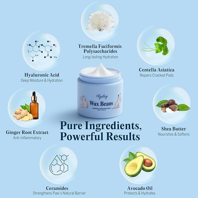 Flydog Wax Beans Fragrance-Free Pet Paw & Nose Balm Cream – Moisturizing, Soothing & Repairing Dry, Cracked Pads for Dogs, Cats & Small Animals, Avocado Oil Multi-Purpose Paw & Nose Protector, 50ml-PurrikoPets
