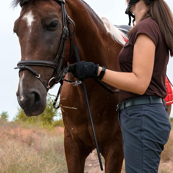 18-inch Horse Riding Crop 2-Piece Set, Black-PurrikoPets