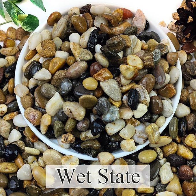 10lbs Natural River Rocks for Plants, 3/8" Aquarium Gravel Decorative Polished Mixed Pebbles for Fish Tank, Gardening, Flower Pots, Vase Fillers, Indoor Water Fountains, Landscaping-PurrikoPets