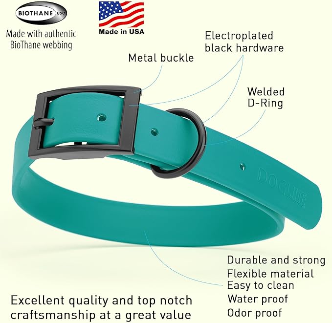 Dogline Biothane Waterproof Dog Collar Strong Coated Nylon Webbing with Black Hardware Odor- Proof for Easy Care Easy to Clean High Performance Fits Small Medium or Large Dogs, Blue Aqua-PurrikoPets