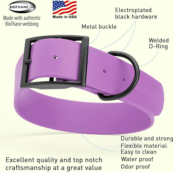 Dogline Biothane Waterproof Dog Collar Strong Coated Nylon Webbing with Black Hardware Odor- Proof for Easy Care Easy to Clean High Performance Fits Small Medium or Large Dogs, Amethyst Purple-PurrikoPets