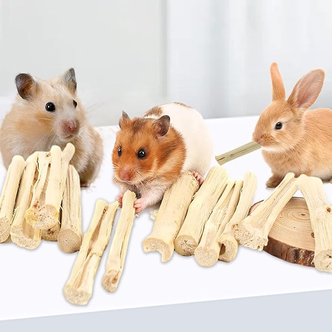 1000g/2.2lb Sweet Bamboo Sticks for Rabbits, Guinea Pig Chew Toys Bunny Toys for Rabbits Indoor, Teething Toy for Small Animals Rabbits, Hamsters, Chinchillas, Guinea Pigs-PurrikoPets