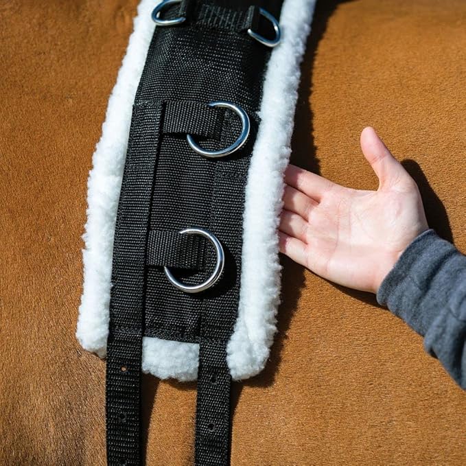 Dura-Tech Fleece Lined Training Surcingle for Horses | Essential for Lunging Work | Comfortable Fleece Lining | Durable Poly Material | Versatile D-Ring Placement | Suitable for All Training Levels-PurrikoPets