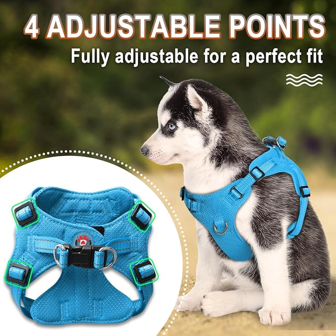 Dog Harness Step in Dog Vest Harness, Reflective Adjustable Puppy No Pull Harness Breathable Soft for Small and Medium Dogs Cats, Blue, XS-PurrikoPets