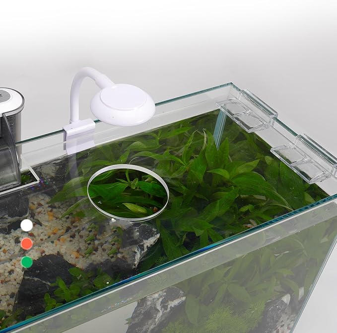 3 Gallon Glass Small Fish Tank, Betta Fish Tank Starter Kit with Filter, Lights,Lid.-PurrikoPets