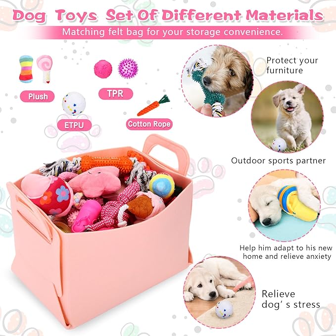 65 Pcs Puppy Supplies Starter Kit Small Dog Essentials Includes Dog Leash, Toys, Bowl, Brushes, Water Bottles, pet Blankets Puppy Accessories for New Welcome Gift Supplies(Cute,Pink)-PurrikoPets