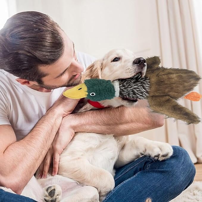 2 PCS Mallard Duck Dog Toys Squeaky D og Toy ,Stuffed Pheasant Do g Chew Toys Plush Mallard Duck Do g To y Interactive Do g Toys to Keep Them Busy , Pheasant Dog To y for Small Middle and Large Dogs-PurrikoPets