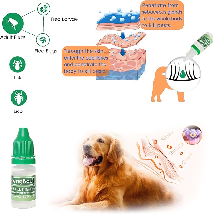 Flea and Tick Collar for Small Dog, Made with Natural Plant Based Essential Oil, Safe and Waterproof, Free Comb and Prevention Treatment Drop, 2x6 Month, 13.8 in (2 Packs)-PurrikoPets
