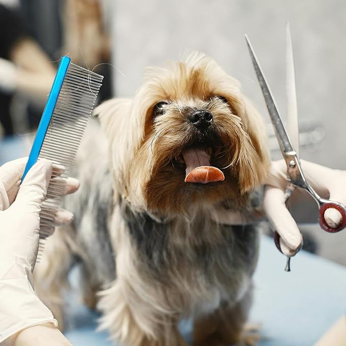 2 Pack Dog Combs with Stainless Steel Teeth Applicable to Cat Dog Comb Removing Tangles Easily Remove Dirt Grooming Anti-Slip Comfort Grip Handle （blue）-PurrikoPets