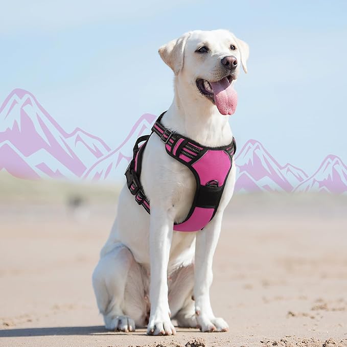 Eagloo Dog Harness for Large Dogs, No Pull Service Vest with Reflective Strips and Control Handle, Adjustable and Comfortable for Easy Walking, No Choke Pet Harness with 2 Metal Rings, Rose Red, L-PurrikoPets