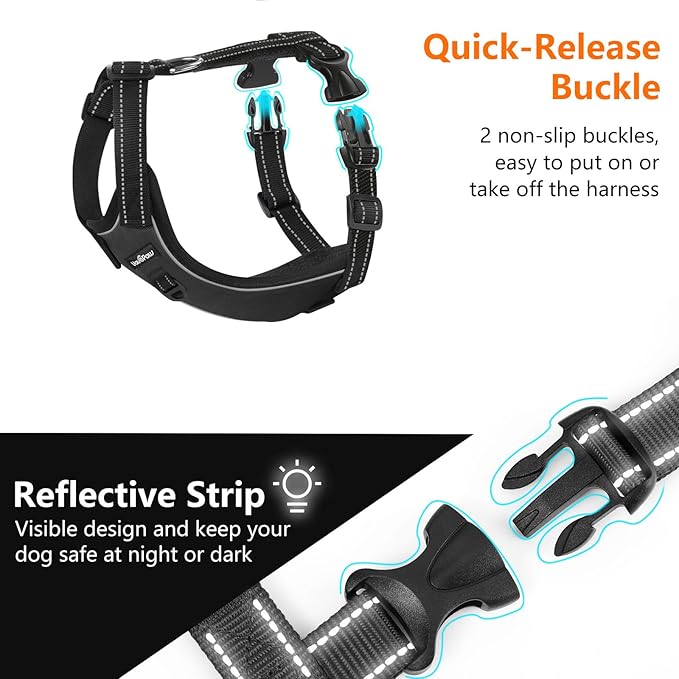 Dog Seat Belt Harness for Car, Dog Car Harness Adjustable Mesh Breathable & Dogs Seatbelt Safety Tether with Elastic Bungee for Small Medium Large Pets(Carbon Black, XL)-PurrikoPets