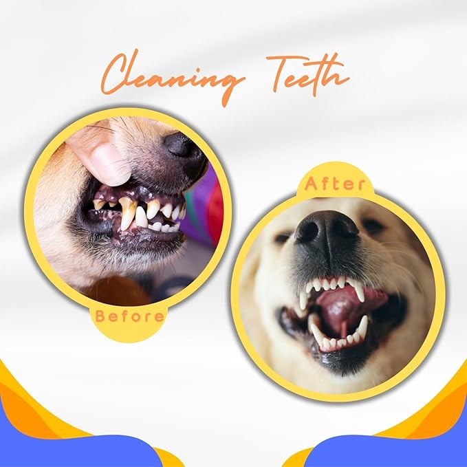 Durable Interactive Dog Toys for Aggressive Chewers,Puppy Teething Toys,Floating Fetch Balls,Bouncing Chew Balls,Tennis Balls for Dogs (2 Balls)-PurrikoPets