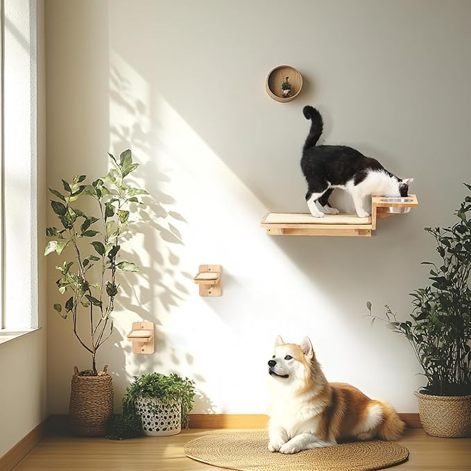 FUKUMARU Cat Wall Shelves, 3 In 1 Cats Walls Furniture Set, Food Station with 2 Steps , Solid Rubber Wood Perch, Suitable for Kitten Play, Nap, Eat, DIY Wall Jungle Gym-PurrikoPets