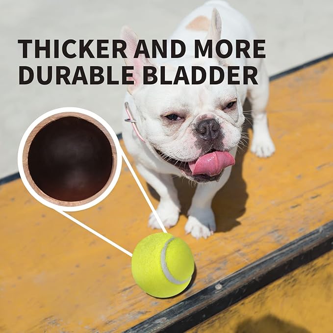 ALL FOR PAWS Interactive Super Bounce Tennis Balls Dog Toy, Pet Safe Toys for Exercise and Training, 2.5 Inch Diameter (6 Pack)-PurrikoPets