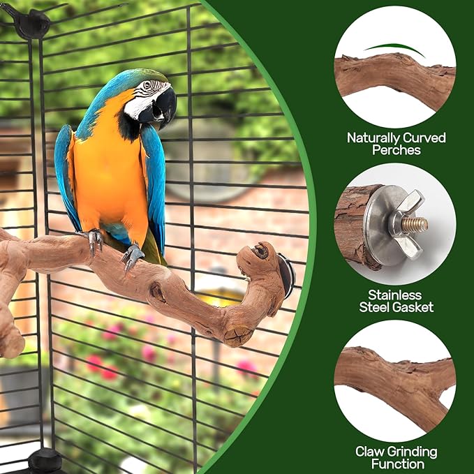 4-Piece Bird Perch Set with Rotating Ball Stand - Natural Wood Bird Gym & Playground for Parrots, Cockatiels, Budgies-PurrikoPets
