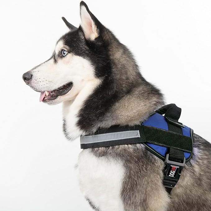 Dogline Dog Harness, Reflective No-Pull Adjustable Vest with Handle for Walking, Training, Breathable, No - Choke Harness for Small, Medium or Large Dogs Room for Patches Girth 27 to 34 in Cyan Blue-PurrikoPets