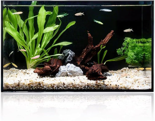 5 Gallon Clear Glass Fish Tank, Easy to Maintain Small Aquariumfor Betta, Goldfish, Snail,Shrimp and Aquatic Planting-PurrikoPets