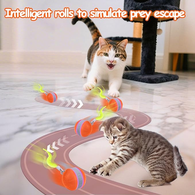 AIERSA Interactive Cat Toys for Indoor Adult Cats, Automatic Self-Play Cat Ball Toy for Kitten to Keep Them Busy, Electric Moving Chase Toy (Orange)-PurrikoPets
