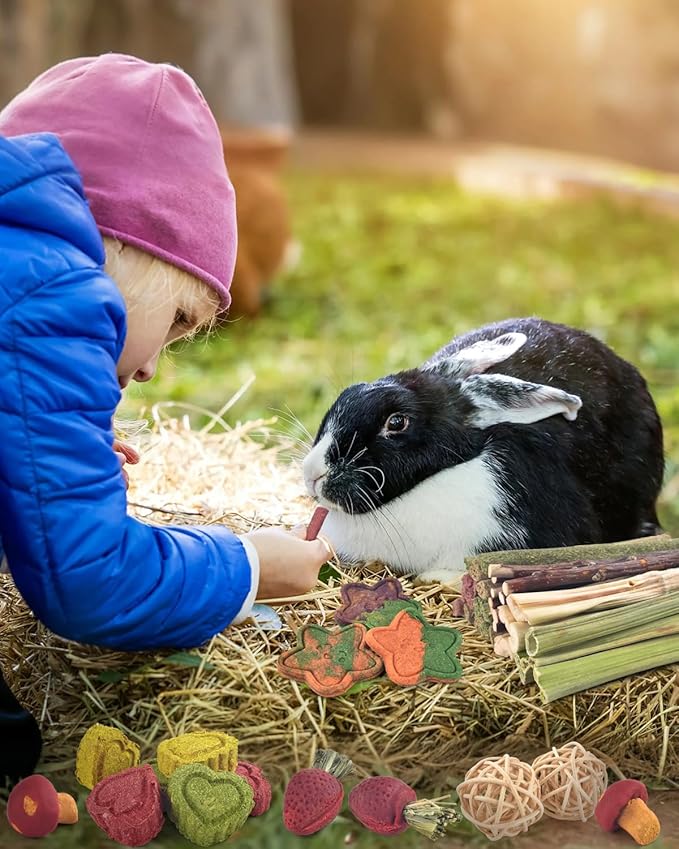 ERKOON 53 Bunny Chew Toys for Rabbits Teeth, Natural Rabbit Toys Apple Wood Sticks, Carrot, Timothy Grass for Small Pets, Hamster, Chinchilla, Guinea Pig Dental Care and Treat Teething(53)-PurrikoPets