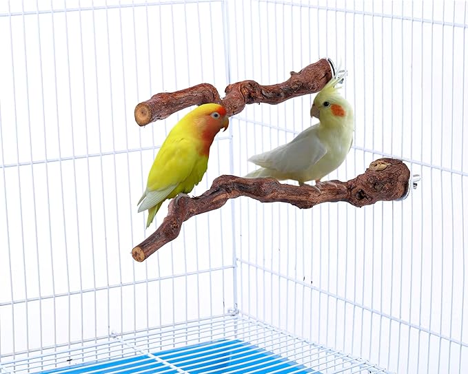 2 pcs 9.8 inch Bird Perches Stand Natural Wood Bird Perches, Birdcage Wood Stand Tree Perches for Birds Cockatiels Parrots Conures Macaws Finches(2PCS 9.8" Length)-PurrikoPets