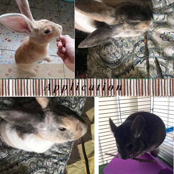 250g Apple Sticks Small Animals Molar Wood Treats Toys for Rabbits Chinchillas Guinea Pig Hamster Gerbil Parrot Bunny and Small Animals Chew Stick Toys Treats-PurrikoPets