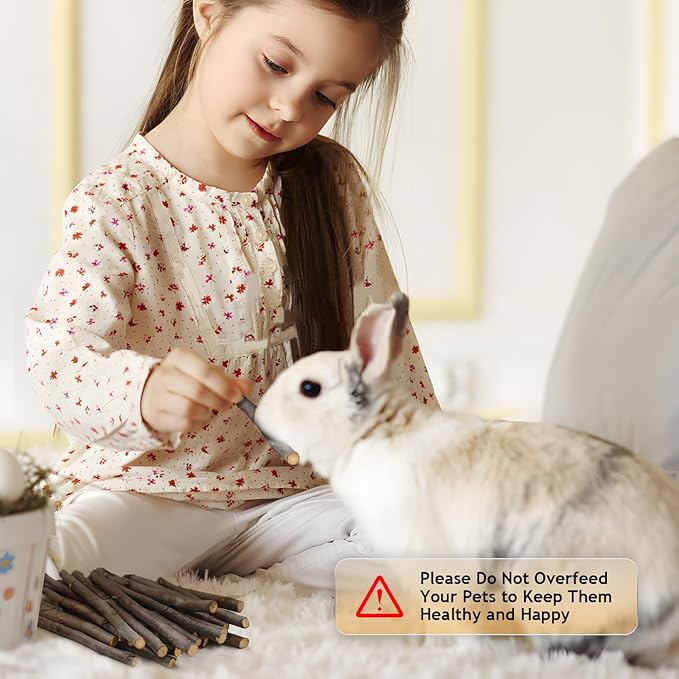 600g Organic Apple Sticks Small Animals Molar Wood Treats Toys for Chinchillas Guinea Pig Rabbits Hamster Gerbil Parrot Bunny Chew Stick Toys, 21.2 OZ-PurrikoPets