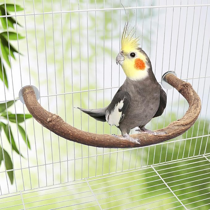2 Pack Bird Perch Stand, Natural Wood U Shape Parrot Stand Pole, Bird Cage Accessories, Suitable for Small to Medium Birds Parakeets Cockatiels Budgie Lovebirds-PurrikoPets
