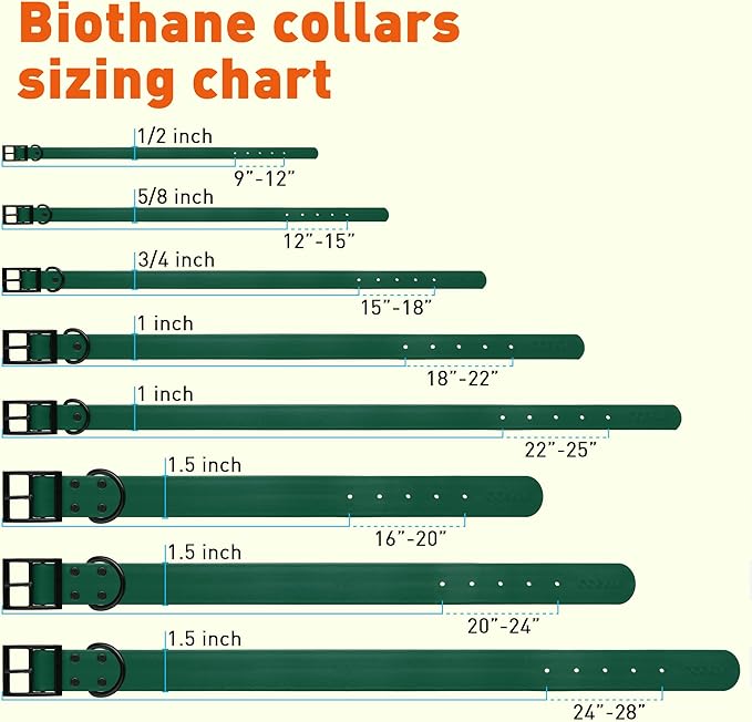 Dogline Biothane Waterproof Dog Collar Strong Coated Nylon Webbing with Black Hardware Odor- Proof for Easy Care Easy to Clean High Performance Fits Small Medium or Large Dogs, Hunter Green-PurrikoPets