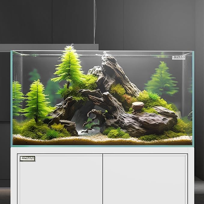 21 Gallon Rimless Aquarium Tall Tank, Ultra Clear Low Iron Big Fish Tank, L15.8×W15.8×H19.7 Glass Thickness 6mm with EVA Foam Leveling Mat-PurrikoPets