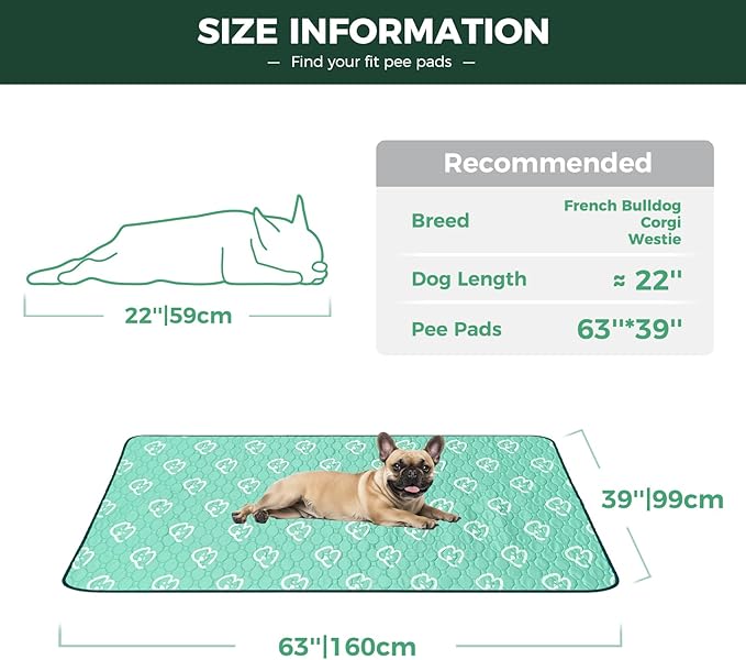 FXW Washable Pee Pads for Dogs, Puppy Pads with Super Absorbent, Specifically Designed for FXW Rollick/Homeplus 24inch 6 Panels Dog Playpen, 63" × 39" Rectangle, Green, 1 Pack-PurrikoPets