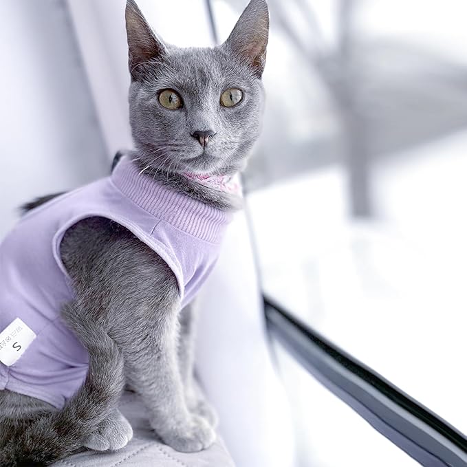 DOTON Cat Recovery Suit for Male and Female Surgical Post Surgery Soft Cone Onesie Shirt Clothes Neuter Licking Protective Diapers Outfit Cover Kitten Spay Collar(M, Purple)-PurrikoPets