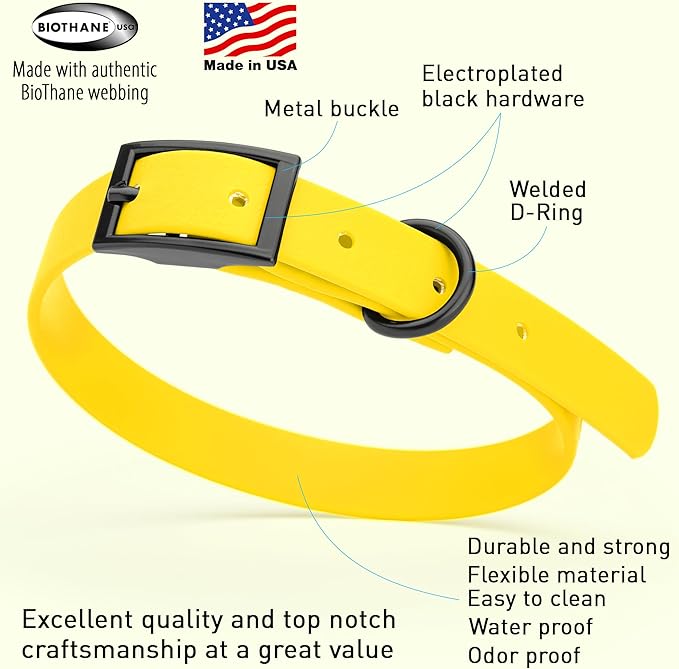 Dogline Biothane Waterproof Dog Collar Strong Coated Nylon Webbing with Black Hardware Odor- Proof for Easy Care Easy to Clean High Performance Fits Small Medium or Large Dogs, Lemon Yellow-PurrikoPets