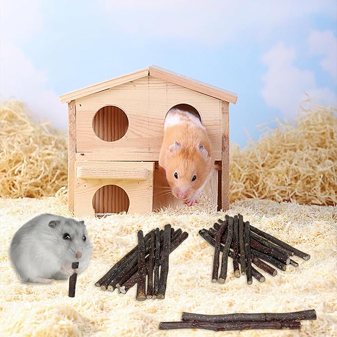 600g Apple Sticks Small Animals Wooden Pet Chew Treats Toys for Guinea Pigs Hamsters Rabbits Chinchillas Squirrels Small Animal Molar Wood Treats Toys-PurrikoPets