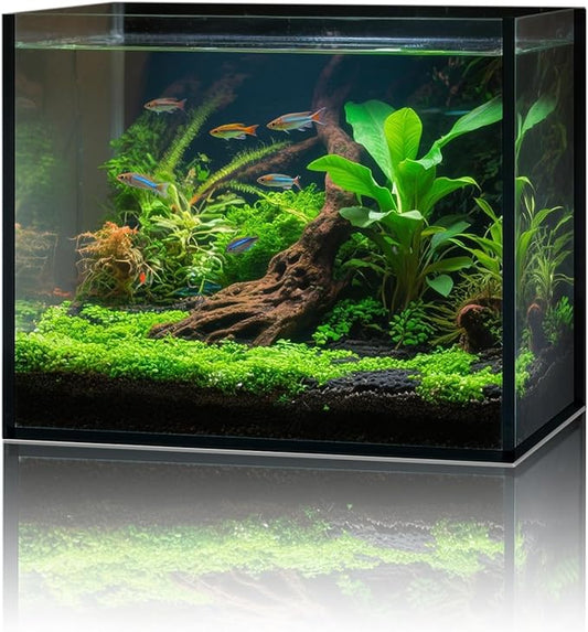 2.6 Gallon Glass Fish Tank Cube, Small Aquarium Fish Bowl for Betta Goldfish Snails Shrimp Aquatic Planting, Easy to Maintain Ultra Clear Rimless Design for Desktop Small Spaces-PurrikoPets