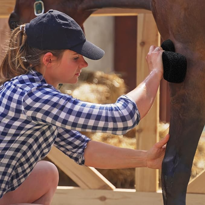 Eaasty 3 Pcs Horse Groomer Sponge Scrubber Massager Horse Grooming Brush Kit Supplies Large Soft Care for Cleaning Washing Bathing, Black, 4.33 x 7.87 x 2.56 Inch-PurrikoPets