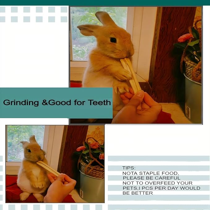 300g Snacks Sweet Bamboo Chew Toy for Rabbits Chew Sticks for Hamster Chinchilla Guinea Pig,Molar Treats Snack for Small Animals-PurrikoPets