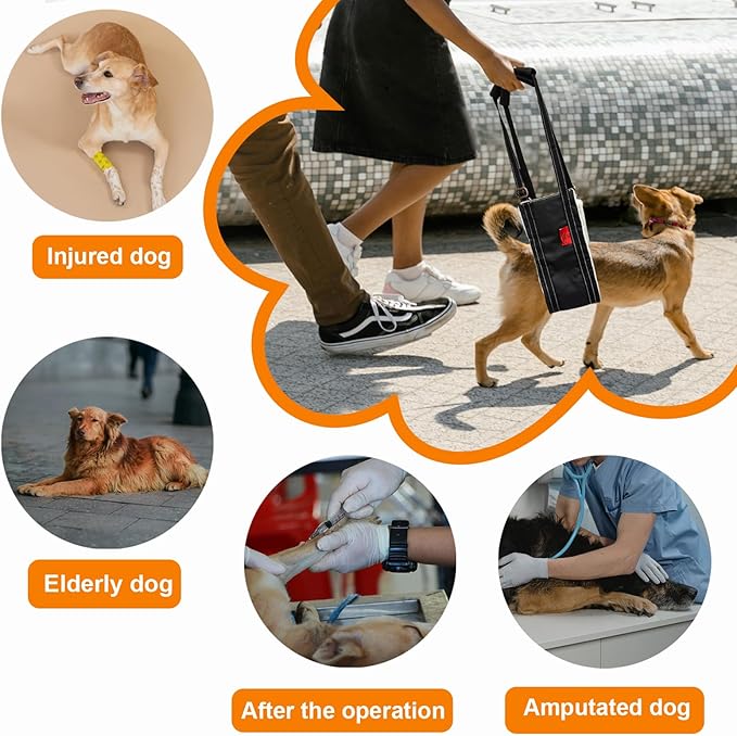 Dog Lift Harness - Adjustable Sling for Rear Legs with Soft Support for Senior, Injured, Disabled Dogs After ACL Surgery - Helping Pets with Canine Aid and Rehab Support (M)-PurrikoPets