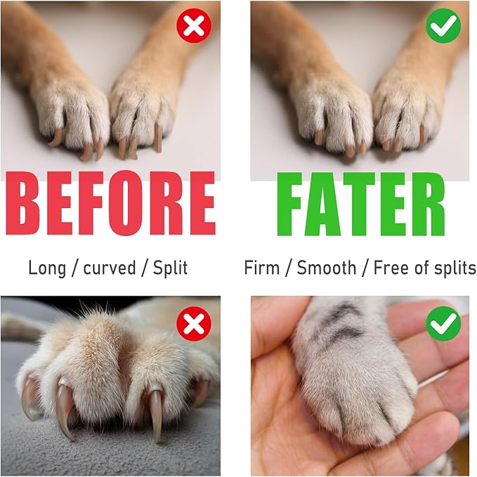 Dog Nail Grinder - 2-Speed Super Quiet and Low Vibration Electric Pet Nail Grinder - Rechargeable Dog Nail Trimmers for Small Dogs- Cat Nail Claw Clippers with 2 Level LED Lighting(White)-PurrikoPets