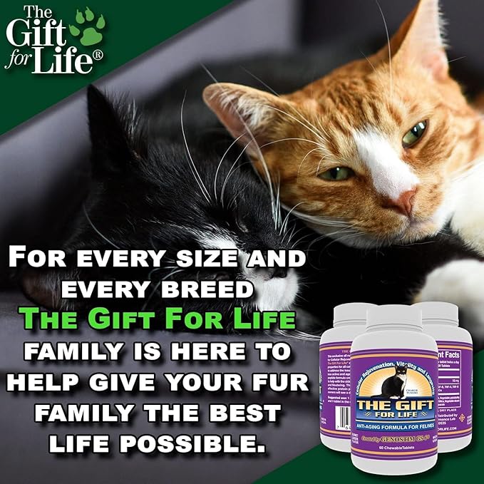 Feline Peptides, Peptides for Cats, Life Extending Cat Supplement, Immune Supplement, Joint Supplement, Skin and Coat Supplement for Cats, 60 Tablets-PurrikoPets