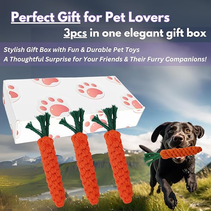 3PCS Orange Woven Pet Chew Set, Puppy Teething Chews, Dog Chew Treats, Cat Teething Playset, Safe Braided Chews for Pets, Durable & Interactive-PurrikoPets