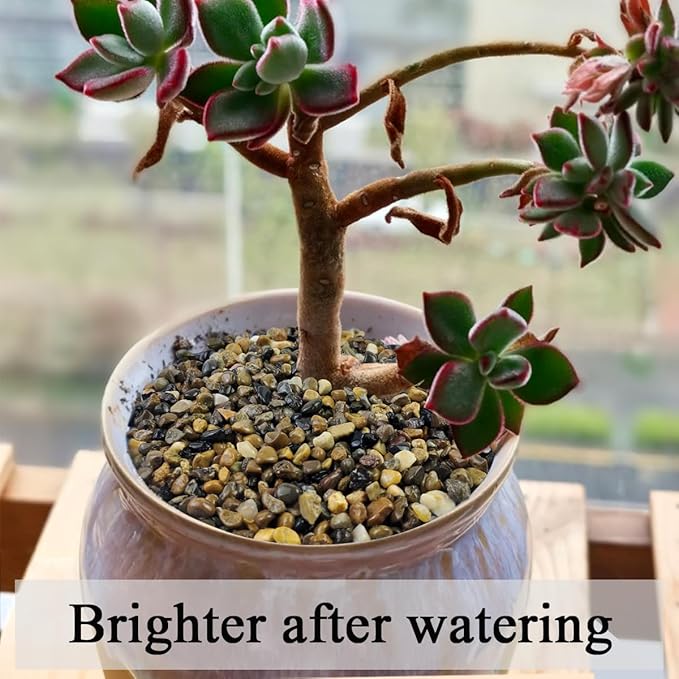 10LB Pea Gravel for Landscaping,1/4 Inch Aquarium Gravel. Decorative River Rocks for Fish Tank Succulent Vase Cactus Bonsai Plant Soil Cover and Outdoor Landscaping Rocks-PurrikoPets